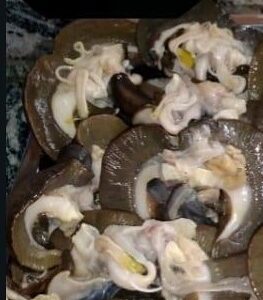 Eats Snails Shelled 20 Pieces Hygienically Prepared